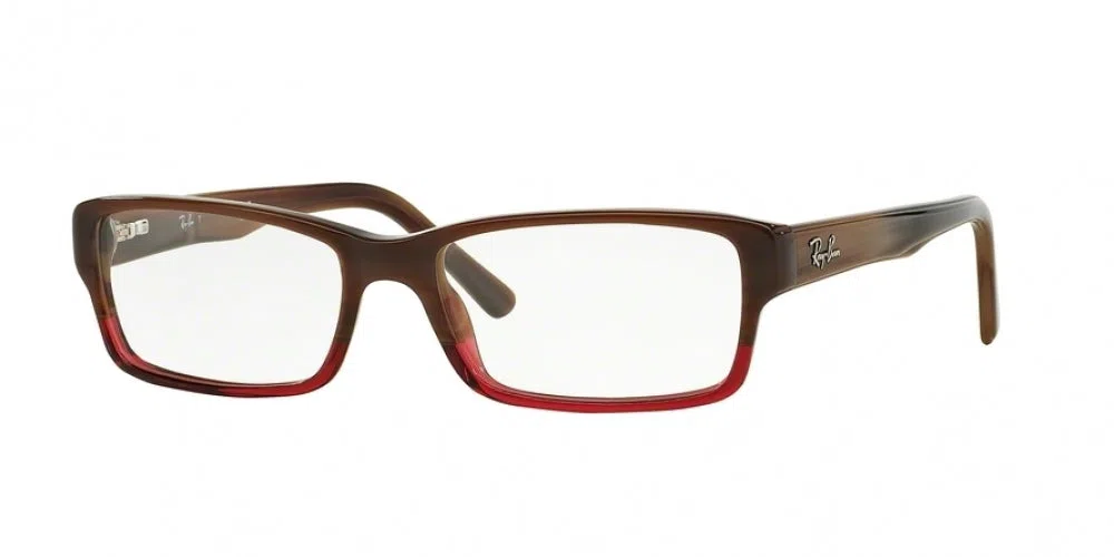 Ray-Ban 5169 Eyeglasses - view 23